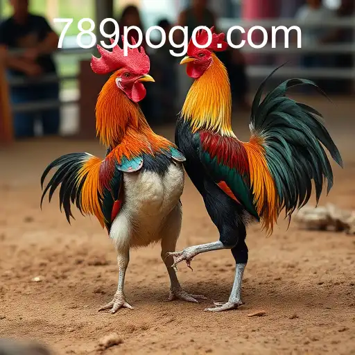 The Thrilling World of Sabong Games